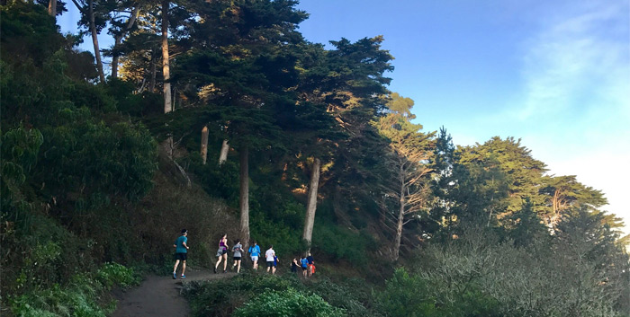 San Francisco Road Runners